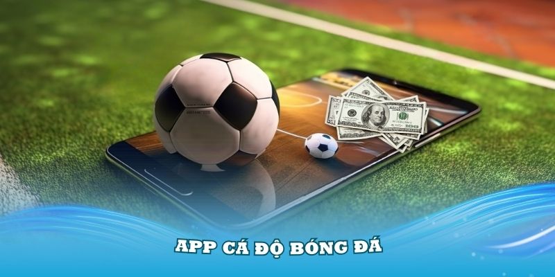 app cá độ bóng đá