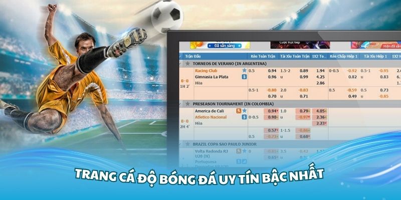 Tham khảo những trang cá độ bóng đá uy tín bậc nhất