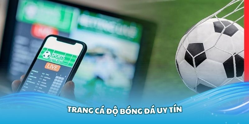 Trang cá độ bóng đá uy tín